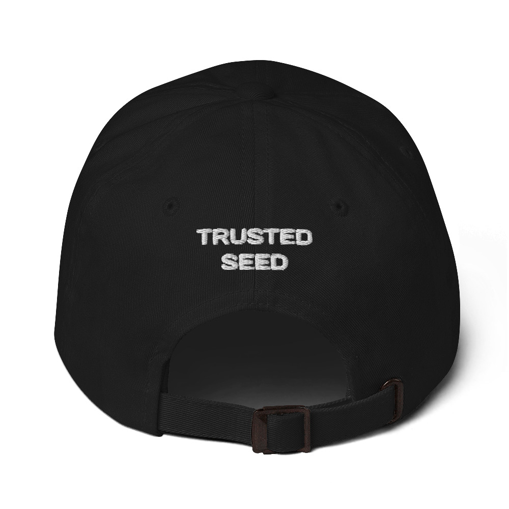 classic-dad-hat-black-back-6297546b73365