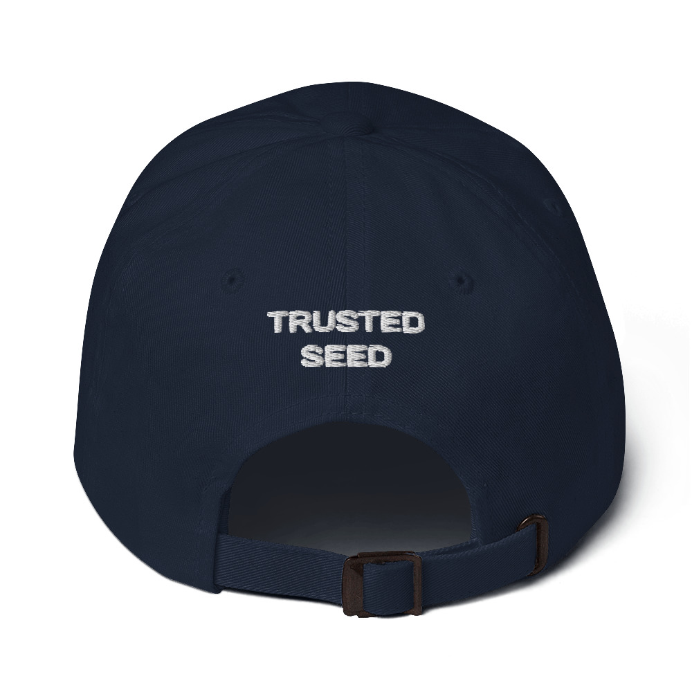 classic-dad-hat-navy-back-6297546b75573